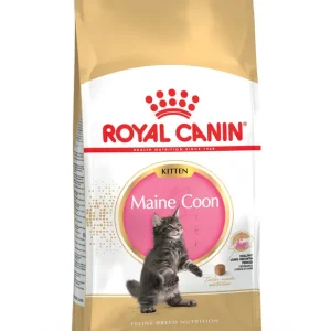Echt ROYAL CANIN Feline Breed Nutrition Maine Coon Kitten 10 kg